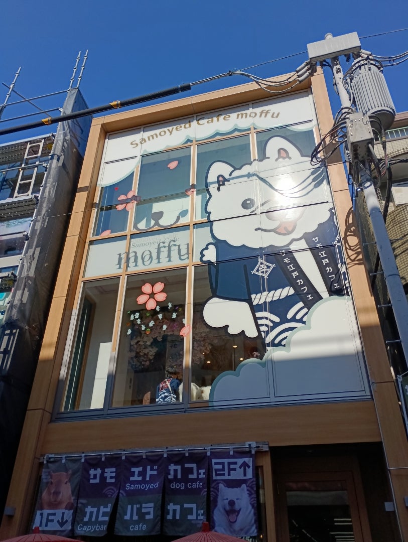 秋休み】にゃんにゃんにゃんこのコラボカフェに行きました | 映えない