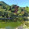 瑠璃光寺の画像