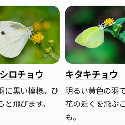 画像 秋ドラマ　いろはの恋は時をかける＆アイス断ち の記事より 1つ目