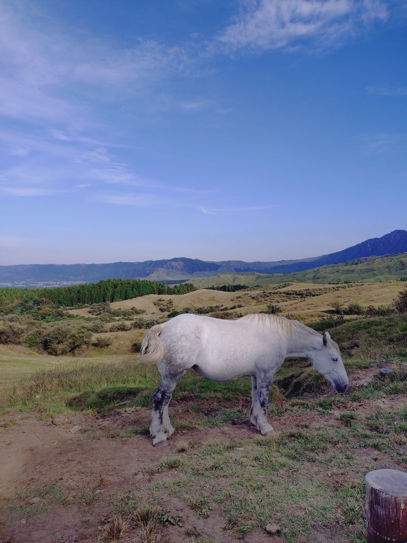写真少なめですが、旅に出てますの記事画像