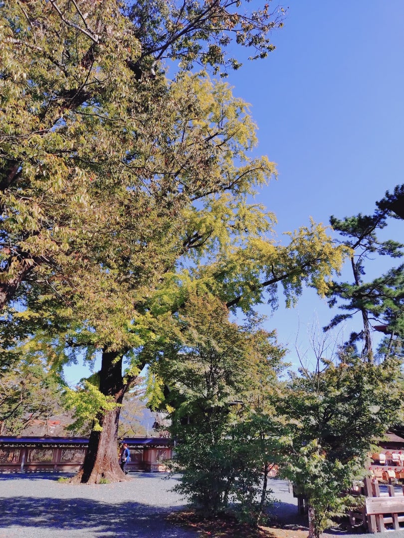 写真少なめですが、旅に出てますの記事画像