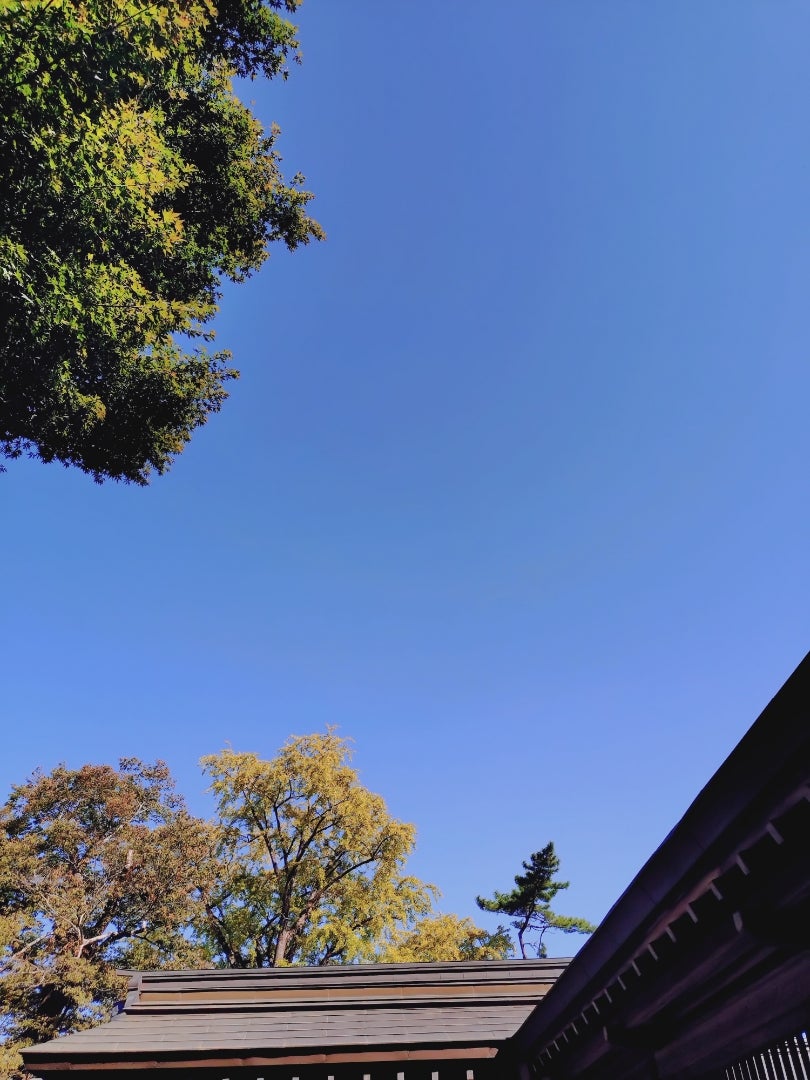 写真少なめですが、旅に出てますの記事画像