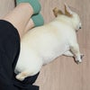 決まった！の画像
