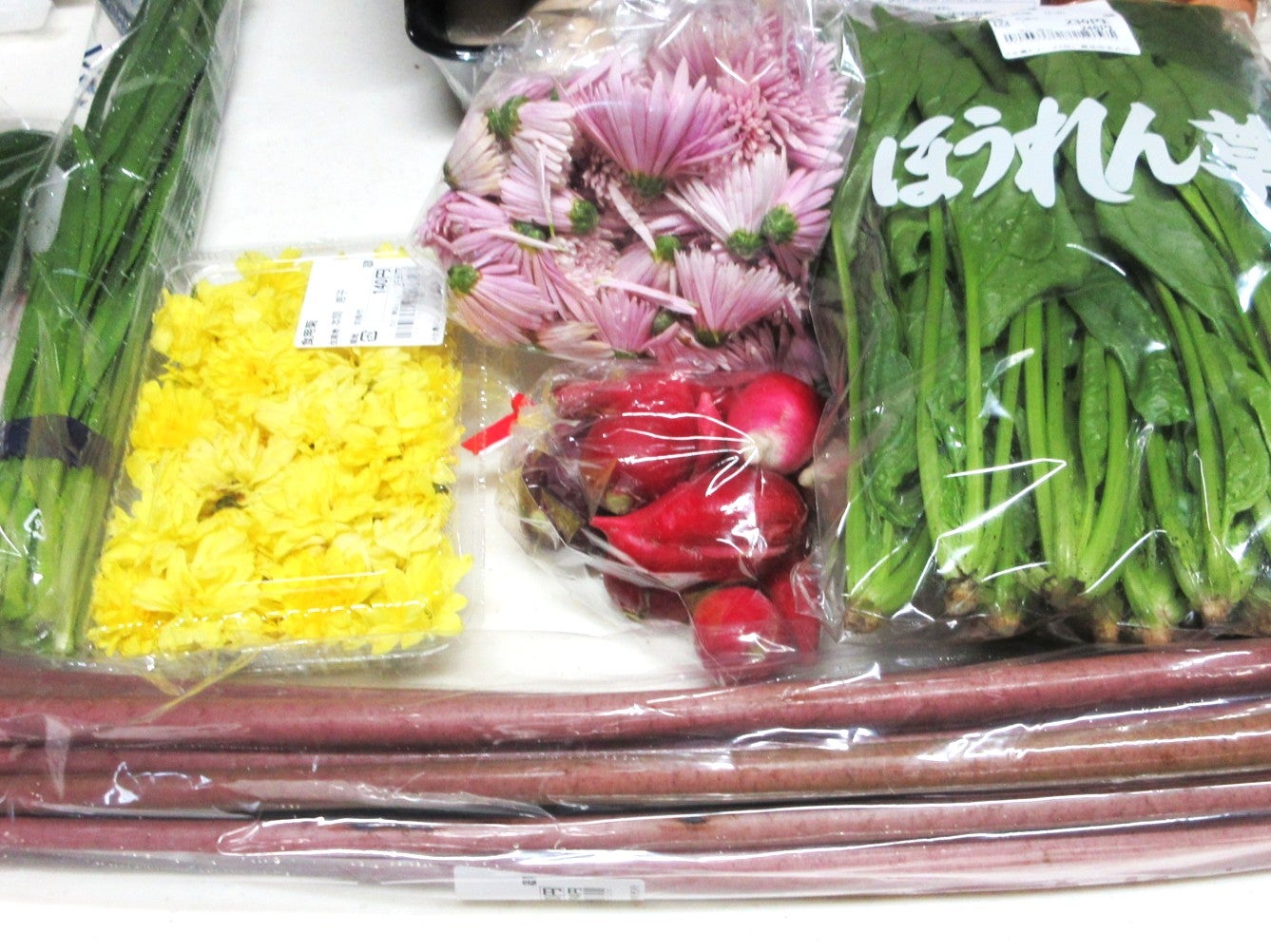 新しい6ヶ月がはじまり、雲間を昇る朝日を眺め、菊花や芋がらや青リンゴと遊んで…の記事画像