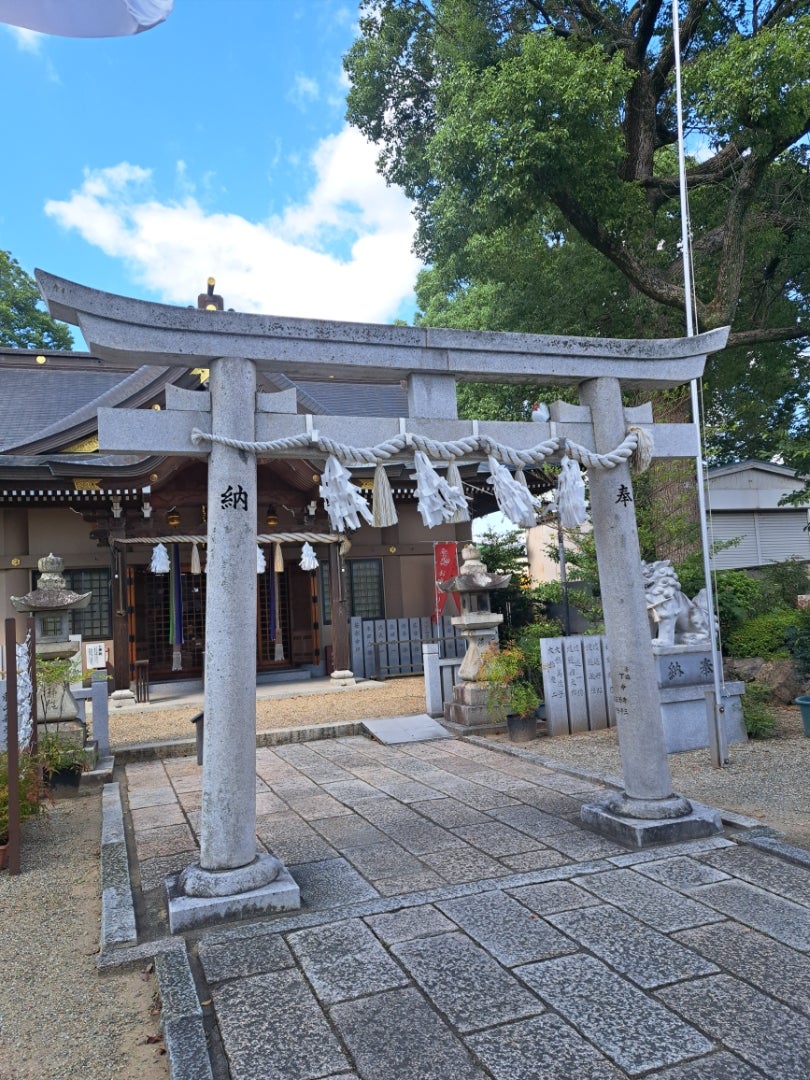 小戸神社天然記念物の記事画像