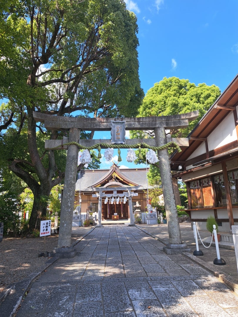 小戸神社天然記念物の記事画像