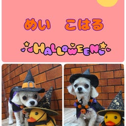 画像 トリミング♡こはるちゃん、めいちゃん の記事より 1つ目