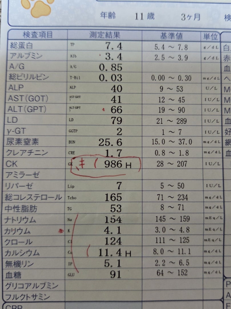 血液検査の結果の記事画像