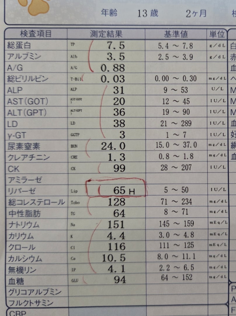 血液検査の結果の記事画像