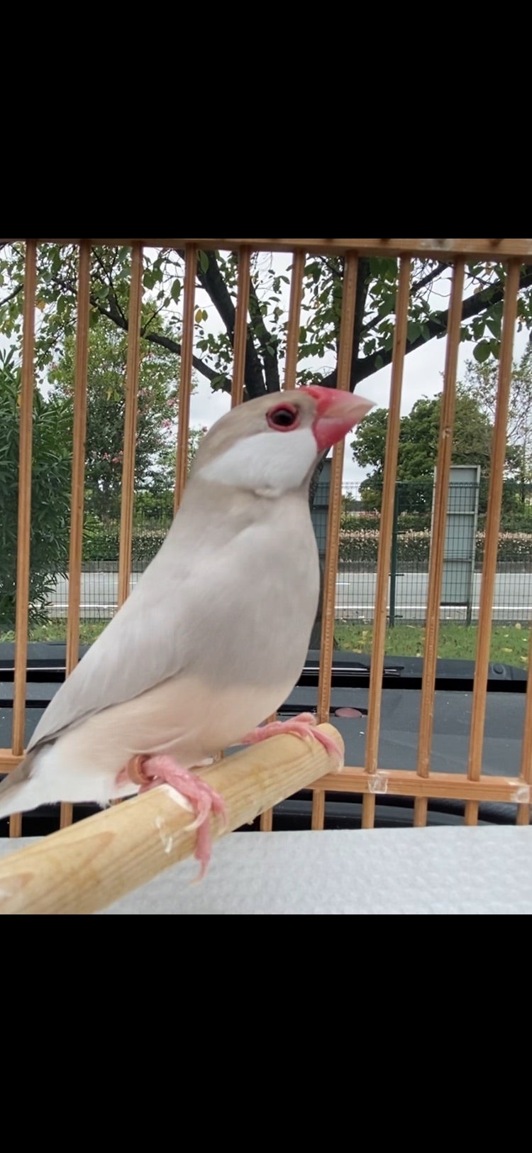 お久しぶりですの記事画像