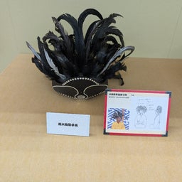 画像 「笑点」展に　寄ってきた の記事より 14つ目
