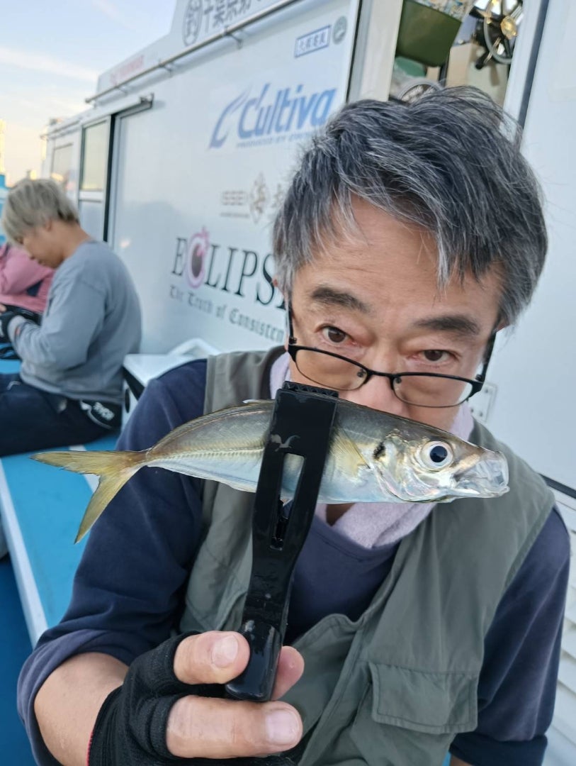 10月17日(土)午後アジ船釣果の記事画像