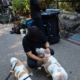 画像 大和民俗公園 の記事より 20つ目