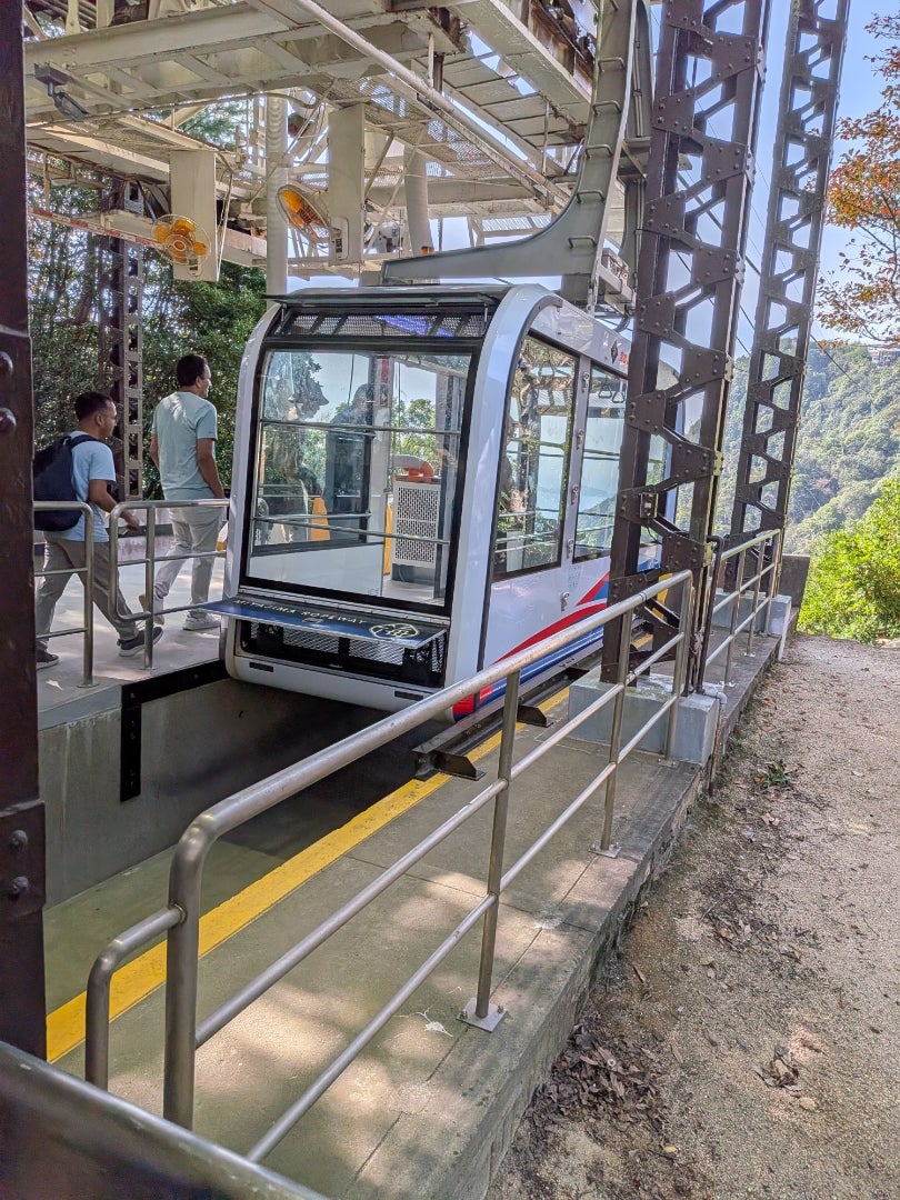 2026_秋旅行_宮島5の記事画像