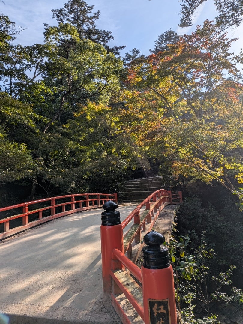 2026_秋旅行_宮島5の記事画像