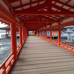 画像 2026_秋旅行_宮島3 の記事より 10つ目