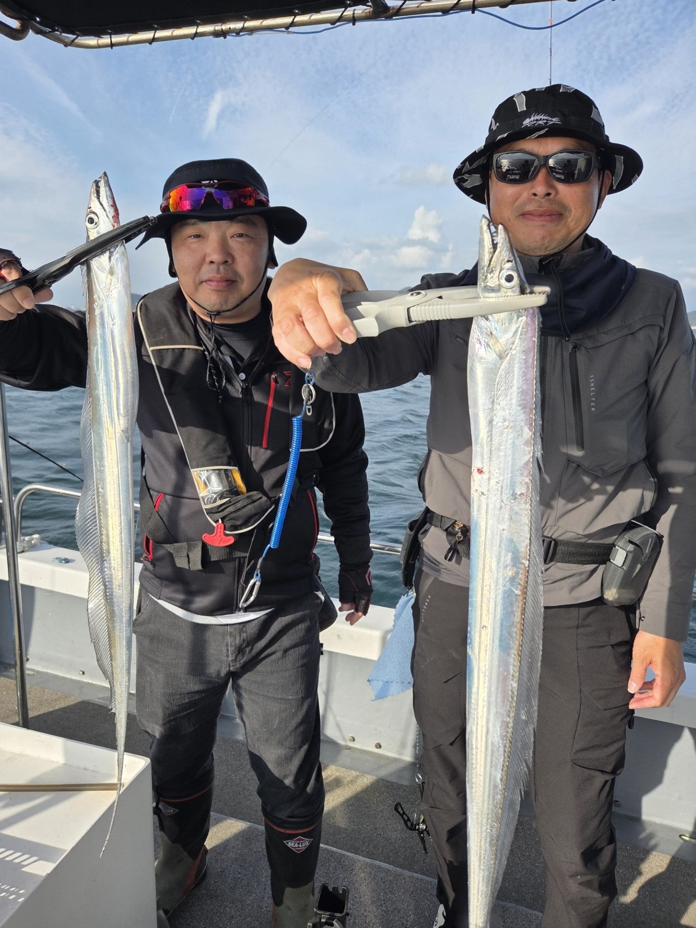 鳴門海峡タチウオの記事画像