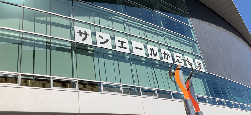 講演会のお礼に差し上げる紫系・黄・橙・桃