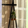 1週間。の画像