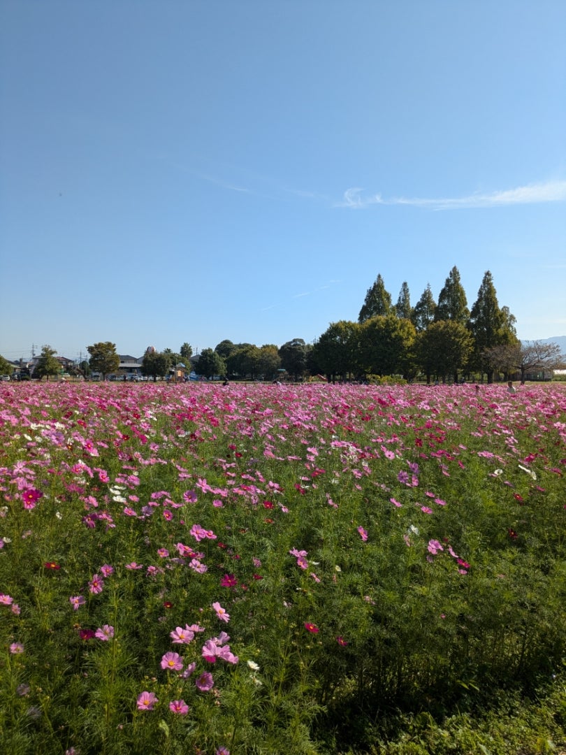 自然の中で、むっちゃ充電！の記事画像