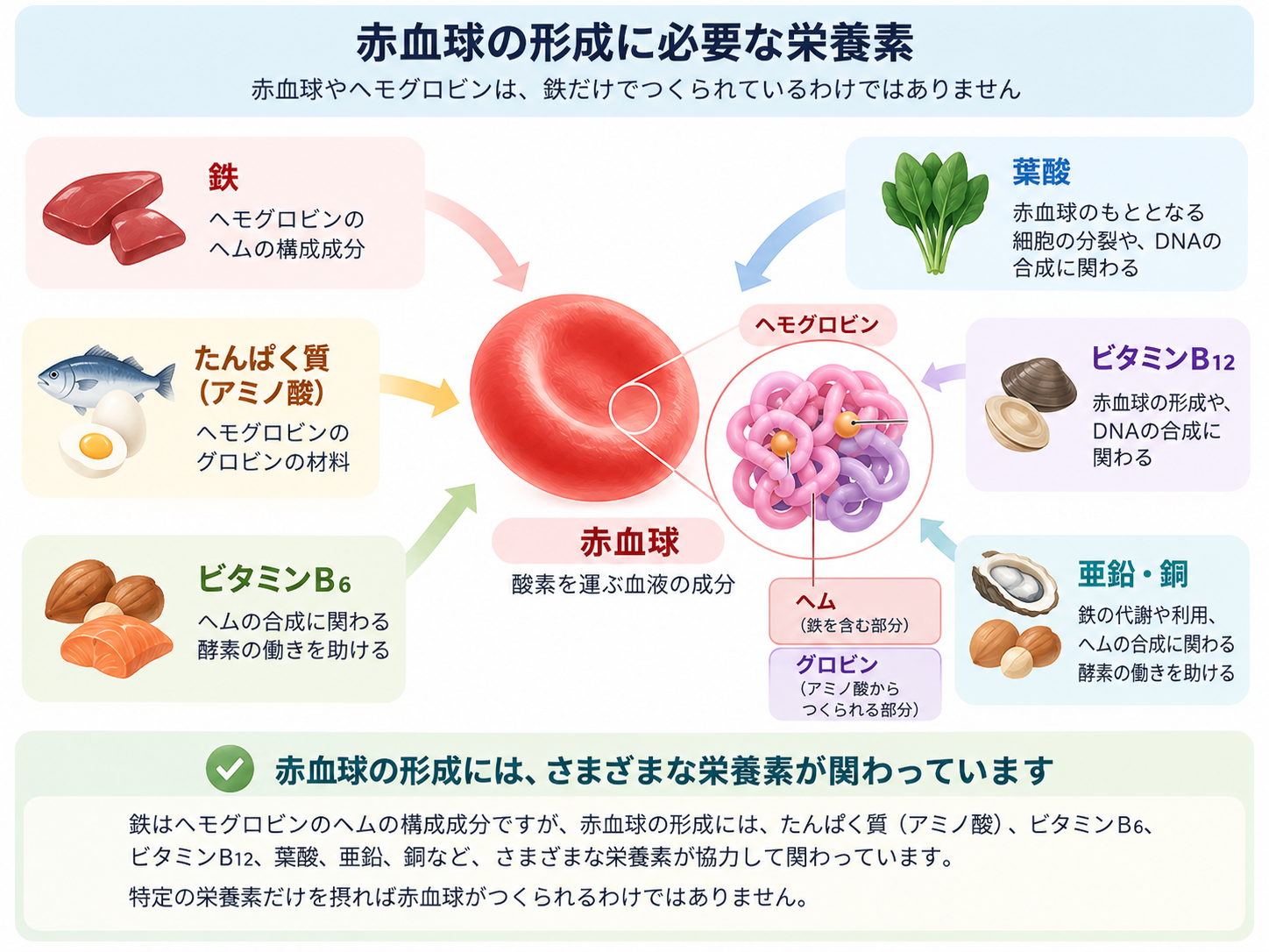 「鉄が大切」は本当。でも、鉄だけを摂ればよいとは限らない理由の記事画像
