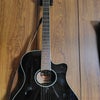 YAMAHA APX600の画像