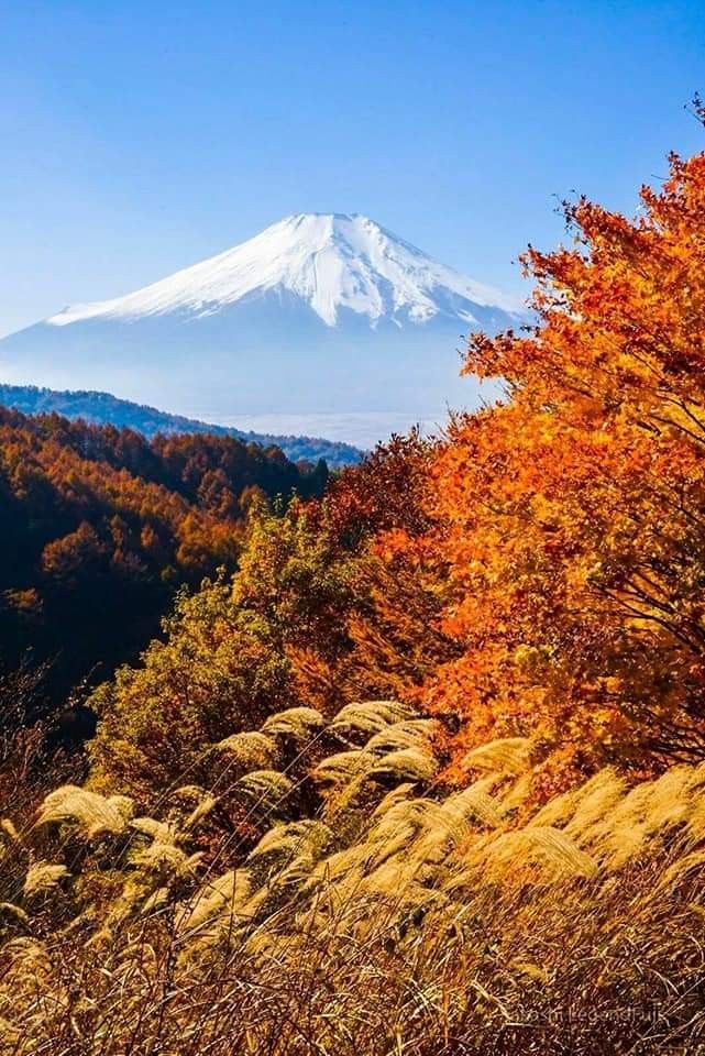 上島鬼貫vs炭太祇の記事画像