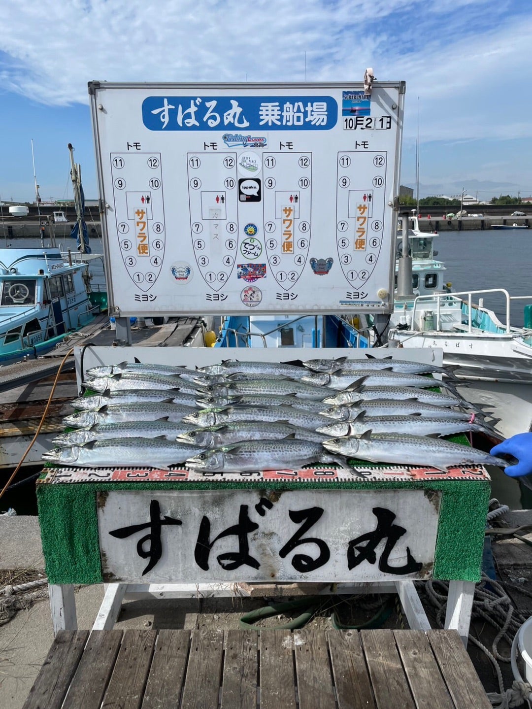 10月21日午前サワラキャスティング　爆跳ね〜の記事画像