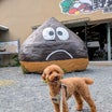 急に思いついて・・・