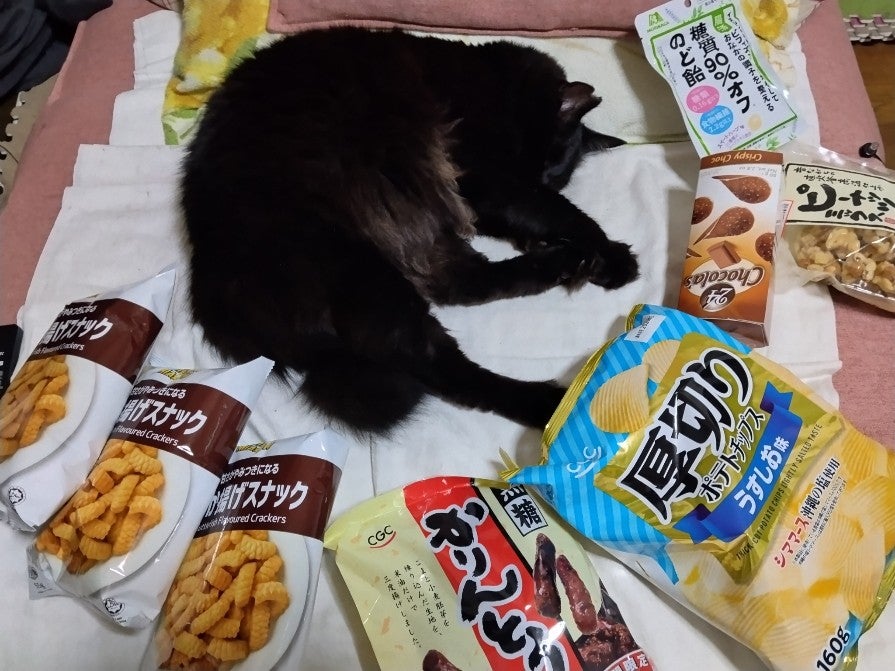 宵のニャンコの記事画像