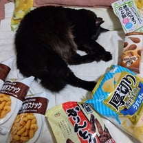 ブログ投稿画像