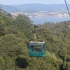 2026_秋旅行_宮島5の画像