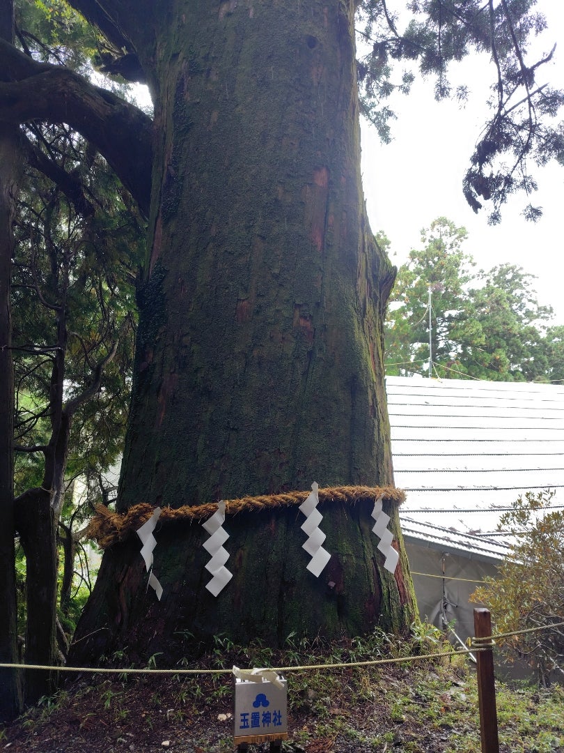 奈良県十津川村　熊野三山奥之院　玉置神社　参拝（２）の記事画像