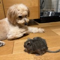 思い通りにはならないけれど〇〇〇と叶う！？