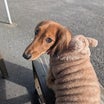 10/23日☁☀家族それともバイク？