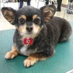 ☆☆☆JUN★LIFE☆☆☆-2009030115100000.jpg