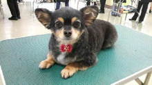 ☆☆☆JUN★LIFE☆☆☆-2009030115100000.jpg