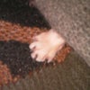 毛糸から伸びる手の画像