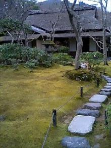 060401_1333~0001.jpg