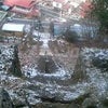 だれが行動的じゃないって？の画像