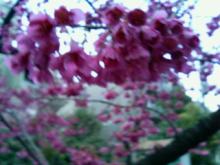 200603191711000.jpg