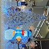 マミィの誕生日の画像