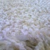 わかがえり＊の画像