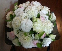 2008092121350000.jpg