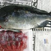 2009.2.11の画像