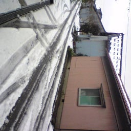 ﾊﾞｰﾄﾞ☆のぐだぐた日記-Image0651.jpg