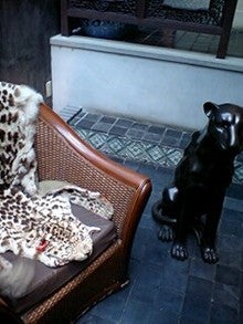 080816_1331~0001.jpg