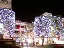 minapricilla-081223_2029.jpg
