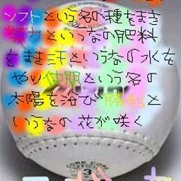 。＋＊＄塁球らぶｯ％＊＋。