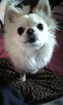 071203_090600.jpg